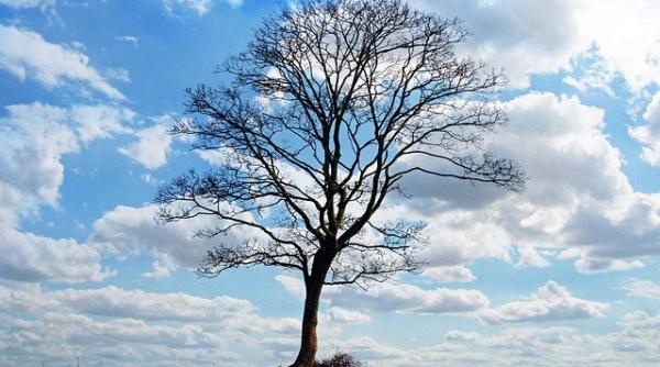 anm alerta meteo cod galben de vreme rea harta cu judetele vizate