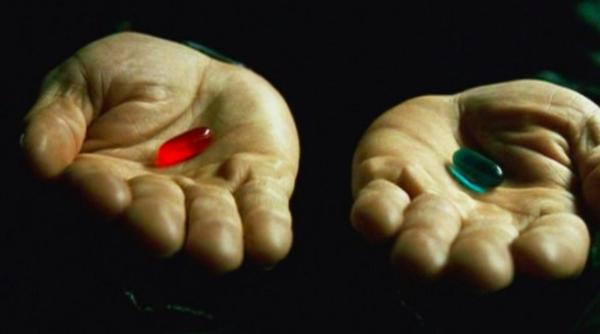 elon musk a facut referire la matrix apoi a fost jignit chiar de creatori