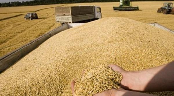 bloomberg rezerva de grau un record mondial