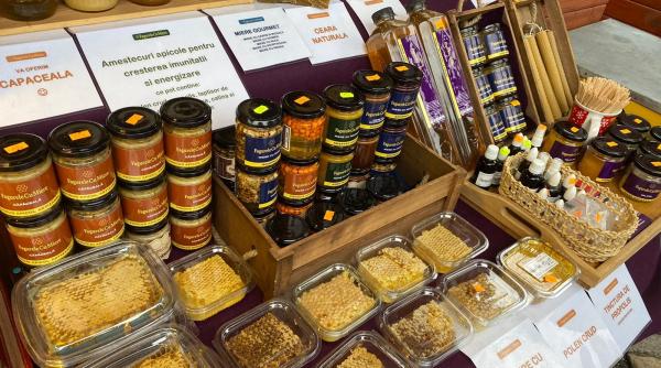 gratiela gavrilescu si horia constantinescu proiect de lege obligam autoritatile sa achizitioneze produse romanesti