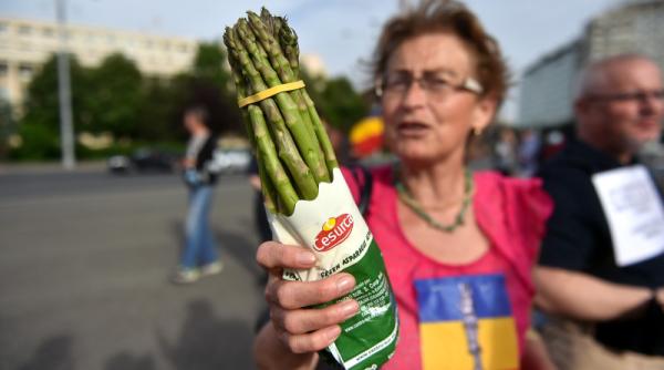 muncitorii romani si sparanghelul hossu problema falsa s a demonstrat acum