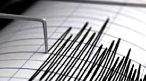 cutremur in noua zeelanda premierul reactie in direct