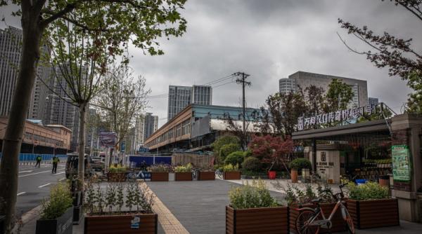 cum putea fi evitata pandemia investigatia care trebuia sa continue