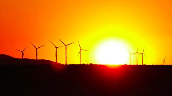 legatura dintre temperatura de afara si covid 19 confirmare stiintifica