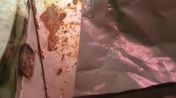 atentie de unde cumparati mezeluri  mizerie de nedescris  descoperita de anpc in control la iasi