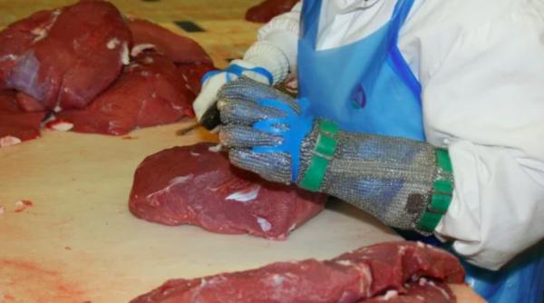 un roman infectat rupe tacerea despre munca in abator in germania