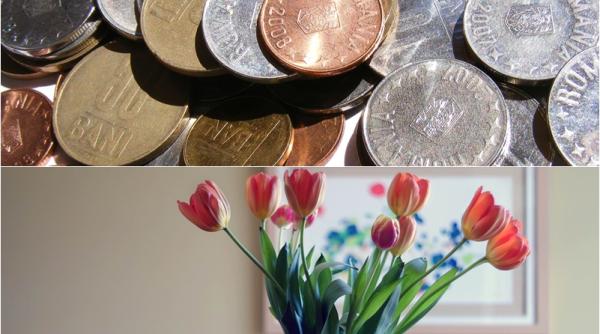 ce se intampla daca pui o moneda in vaza cu flori si o lasi acolo