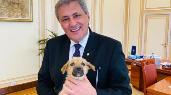 marcel vela apel la iubitorii de animale animalele sunt iubite intr o societate sanatoasa