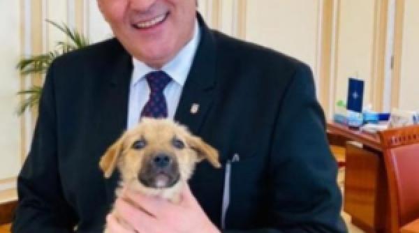 incredibil vela explica de unde vine numele max pus cainelui adoptat de mai