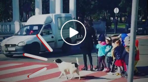 cat de tare gestul de milioane al unui maidanez pentru niste elevi video viral