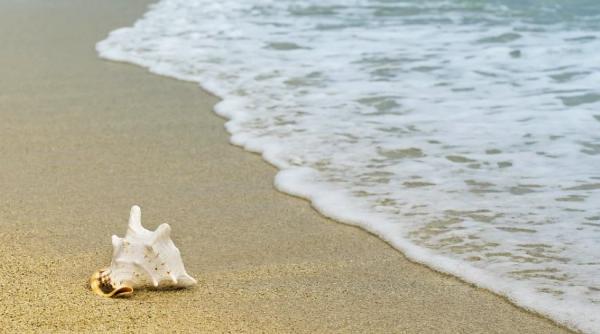 cati bani au cheltuit romanii in vama veche si mamaia