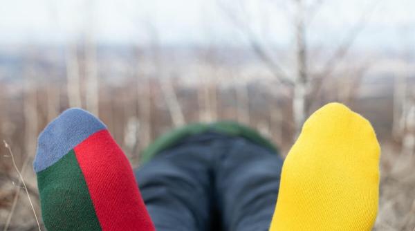 marele vernisaj de vara 2020 la muzeul national de arta contemporana