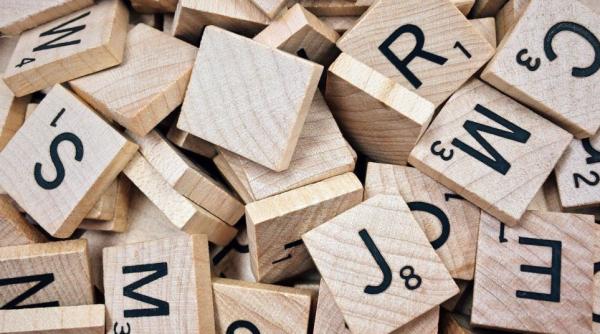 ana iorga cum se schimba cuvantul rasism in dictionarul american