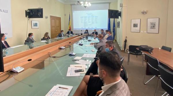 pregatiri pentru anul universitar 2020 2021  consiliul national al rectorilor  propuneri pentru monica anisie