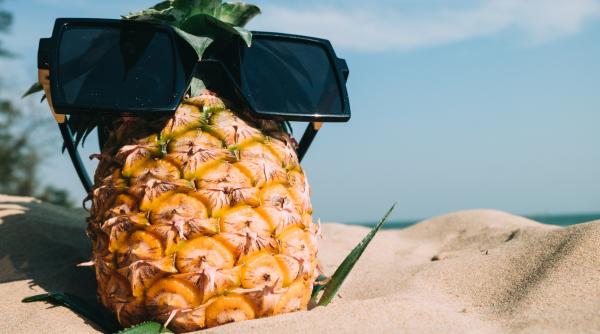 vacante in 2020 ce fac romanii rezultat sondaj