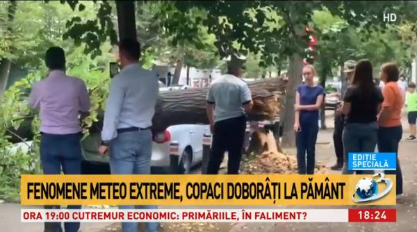vant puternic in capitala copac cazut pe masini in centru