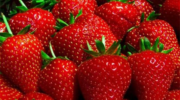 capsunile consumate cu zahar combinatia fatala care poate duce la cancer