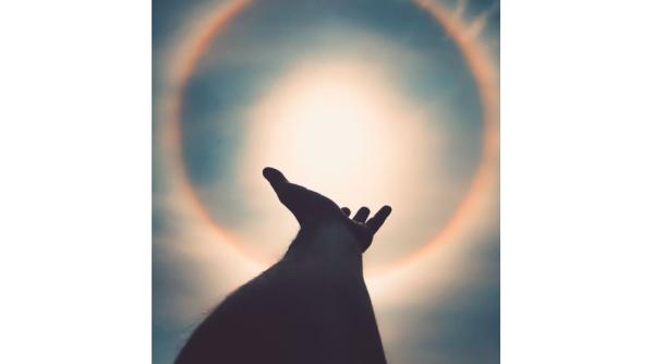 eclipsa de soare luna noua in rac pe 21 iunie 2020 daniela simulescu astrolog va transformati