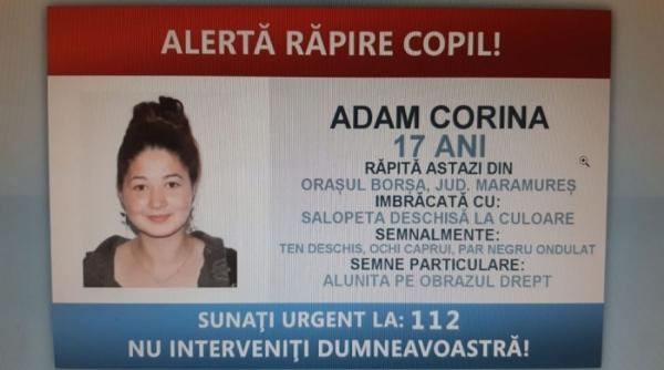 tanara de 17 ani rapita de pe o strada din borsa maramures