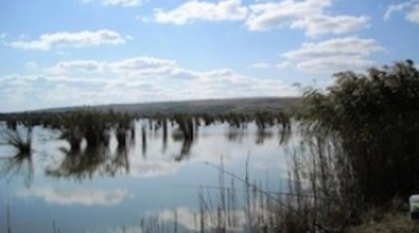 barbat disparut in raul prut cautat de doua zile