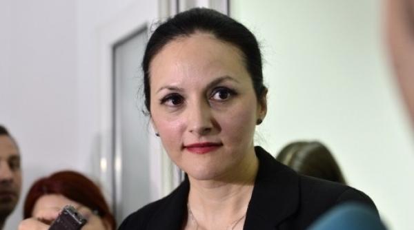 iccj decizie in dosarul anrp alina bica