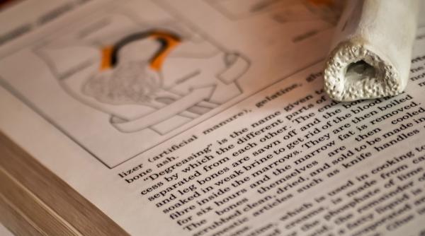 examenul de intrare in rezidentiat bibliografie tataru nu s a mai realizat de peste 3 ani