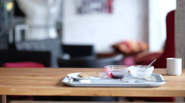 cum scapi de furnicile care apar in bucatarie ieftin si natural