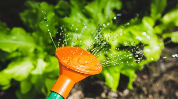 glifosatul erbicidul interzis in sua folosit in romania reactia ministerului agriculturii