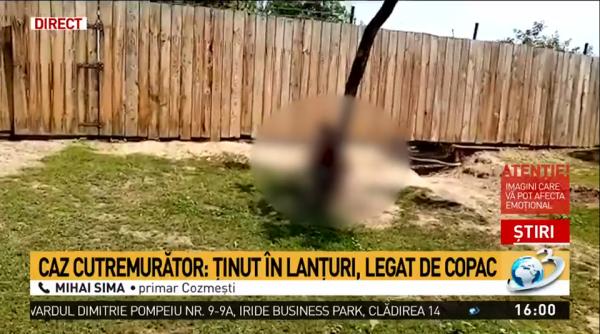 barbat dezbracat legat cu lanturi de un copac de mama lui