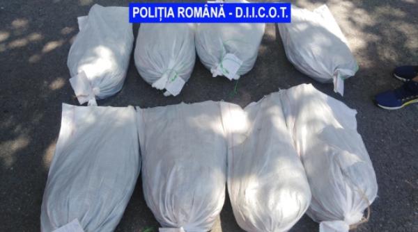 saci cu cannabis descoperiti de politisti in curtea unui barbat