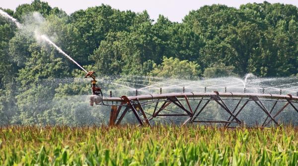 pnl relansare economica industria alimentara si agricultura dragos frumosu i as lasa repetenti