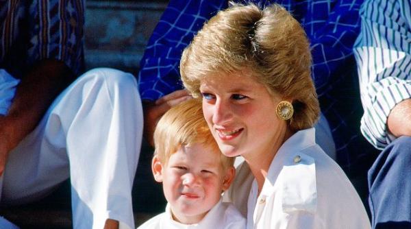 omagiu printesa diana printul harry mesaj dur nu au facut suficient pentru a sterge greselile