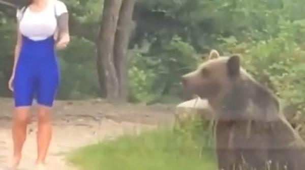 video inconstienta aproape fatala ce fac romanii cand vad ursul la munte