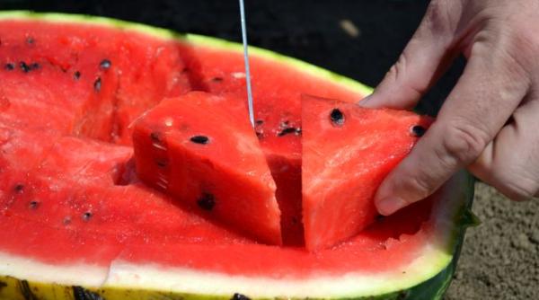 dr adina alberts semnal de alarma ne otravim copiii video