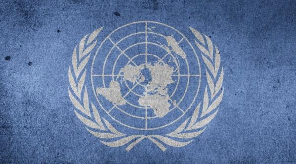 zoonozele sunt in crestere onu avertizeaza ca ne pasc alte pandemii