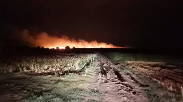 lan de grau facut scrum incendiu de la o tigara paguba de 100 000 de lei