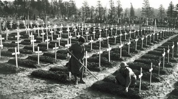 previziuni sumbre milioane de morminte sapate pentru victimele covid 19