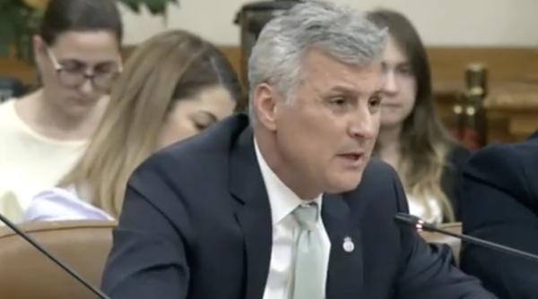 pnl vrea locale in toamna daniel zamfir reactie dura cinism si ticalosie in stare pura