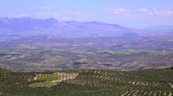 romanii nu mai pot intra in spania doi ani anuntul care a creat panica