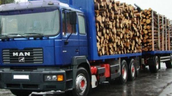 controale la transportatorii de lemne ce au descoperit inspectorii video