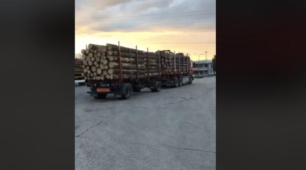 nou transport de lemne oprit in trafic ce au descoperit la cantar video asa ceva ca la nimeni