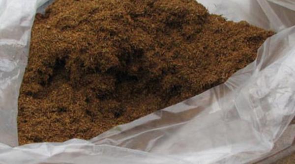 peste 4 tone de tutun ridicate de politisti in urma unor perchezitii in calarasi