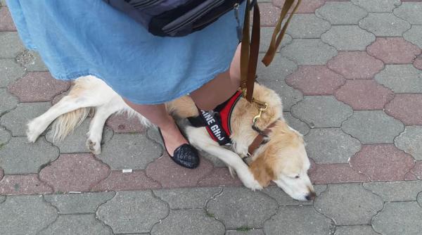 revoltator o tanara din cluj napoca nu a fost lasata sa intre in magazin e frustrant