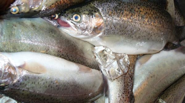 controale in pietele de peste din capitala politia intervine la aceasta ora