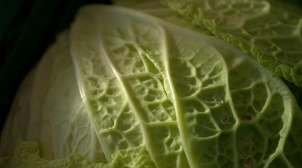 sarmale in foi de varza dupa reteta lui scarlatescu ce truc are