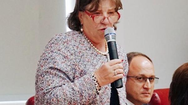 alegeri locale 2020 norica nicolai ar insemna impiedicarea populatiei sa ajunga la vot