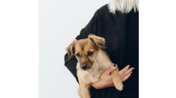 predictie grea pentru o zodie familia nu mai tace ce ar trebui sa faca cat mai curand