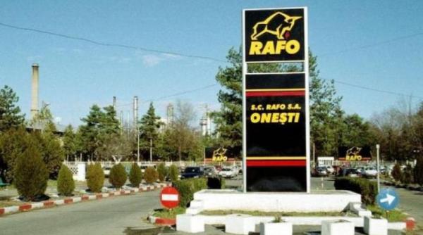 rafo onesti a fost cumparat de gruia stoica