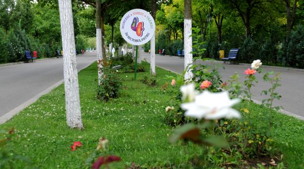 sectorul 4 totul verde cea mai buna firma de amenajari peisagistice