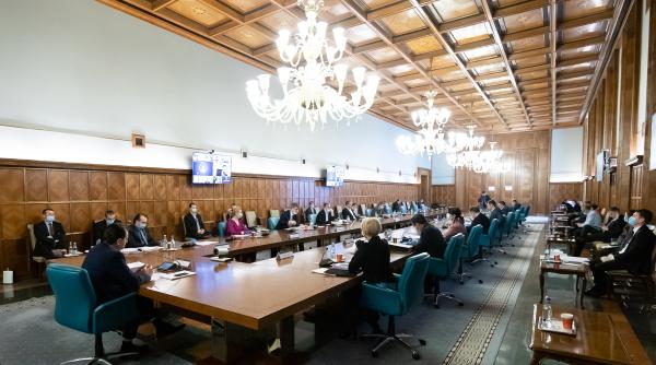 doua masuri salvatoare pe masa guvernului pnl strategia castigatoare adevarul crunt despre practicile politice